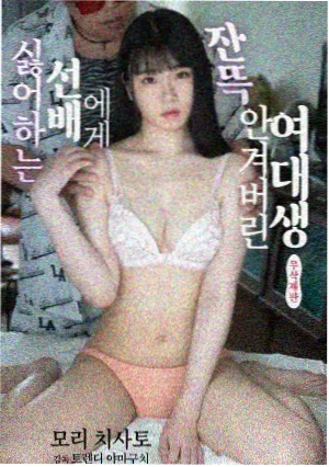 夜航日志纪实剧集封面